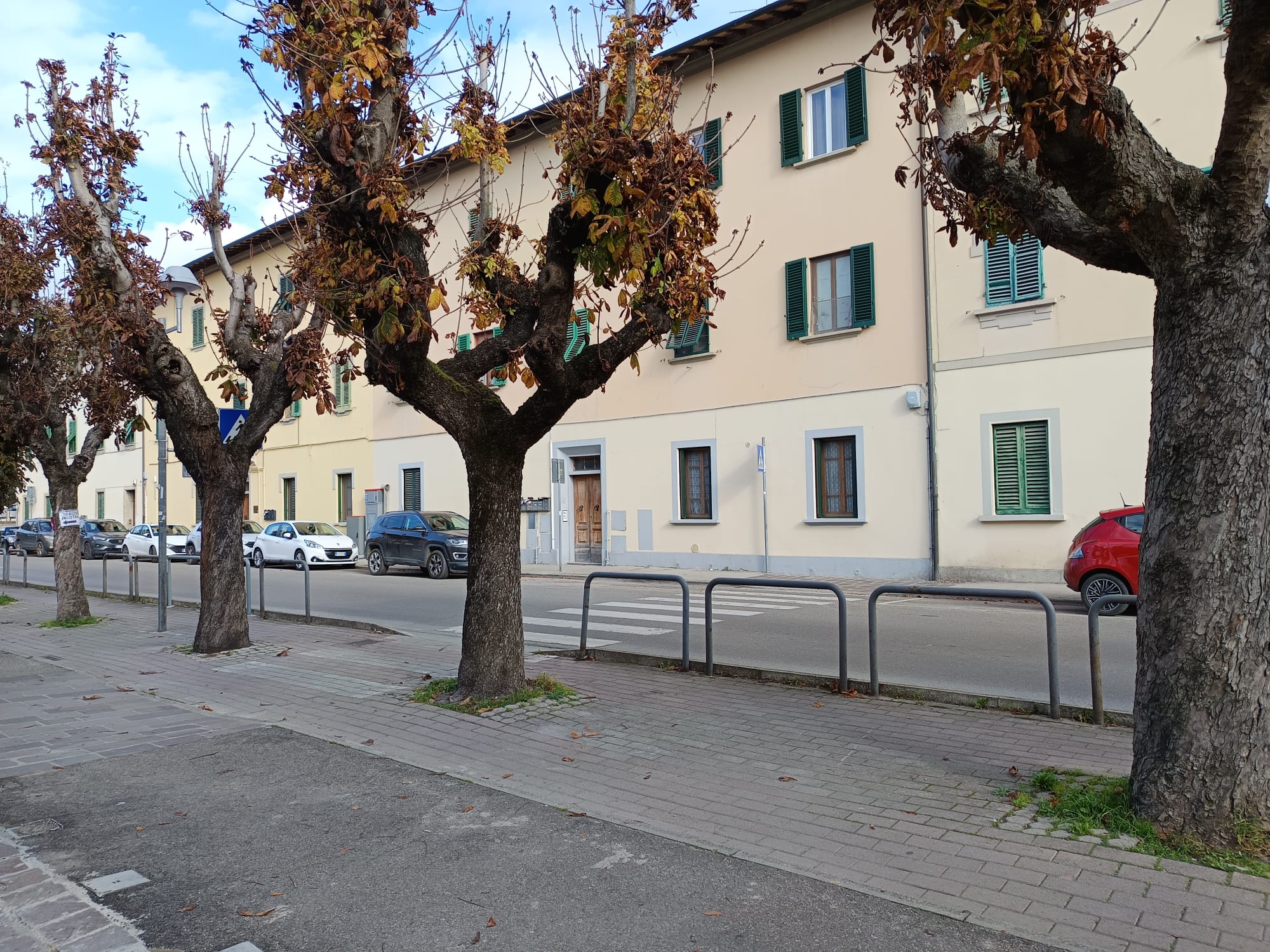 Manutenzione alberi e sicurezza: in programma potature e abbattimenti