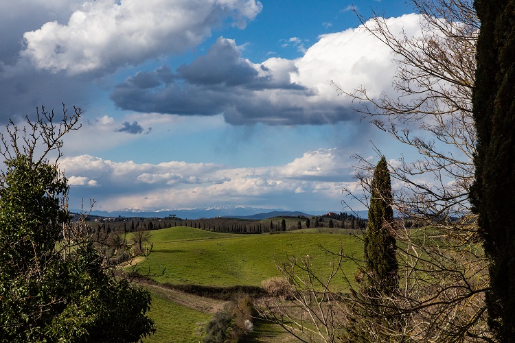 Parco di Canonica