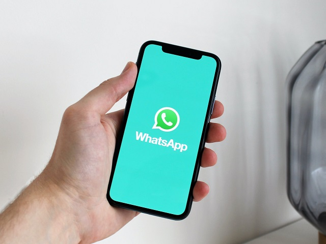  Canale Whatsapp Comune di Certaldo, come iscriversi