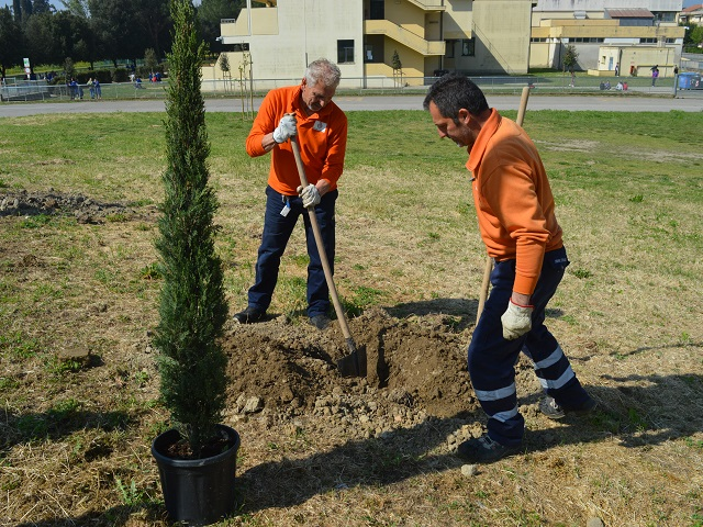 Giornata nazionale degli alberi: a Certaldo quasi 300 piante ad alto fusto dal 2016