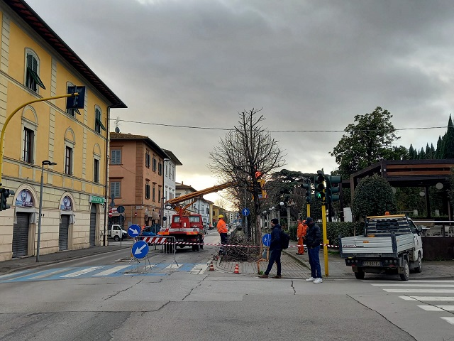Cambio temporaneo della viabilità in Viale Matteotti per manutenzione degli alberi